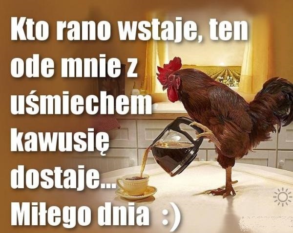Kogut z herbatą
